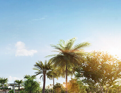 Gallery-6 (23)_0